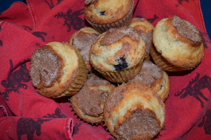 HJO Blueberry muffins